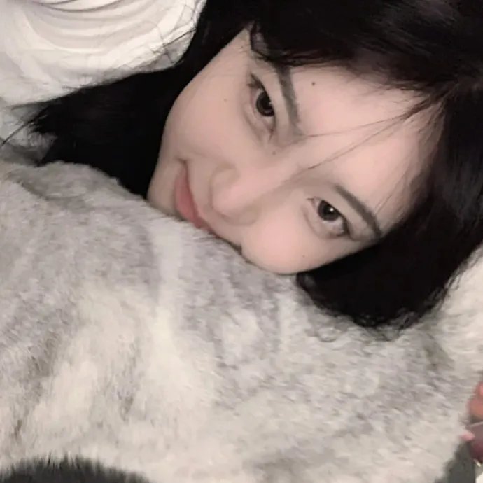 情断干戈