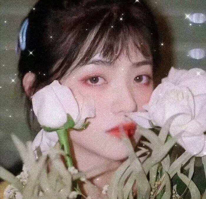 哈里如何变成一棵树